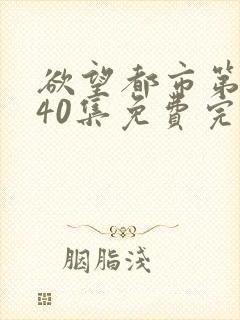 欲望都市第3季40集免费完整版在线观看