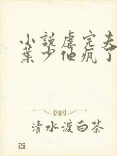 小说虐完夫人后叶少他疯了