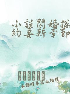 小说闪婚总裁契约妻新章节列表