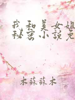 我和美女姐姐的秘密小说免费阅读