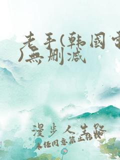 老手(韩国电影)无删减
