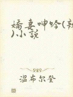 娇妻呻吟(辣文)小说