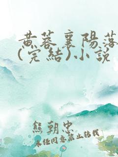 黄蓉襄阳落难记(完结)小说