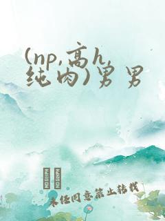 (np,高h,纯肉)男男