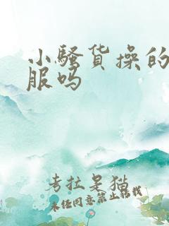 小骚货操的你舒服吗