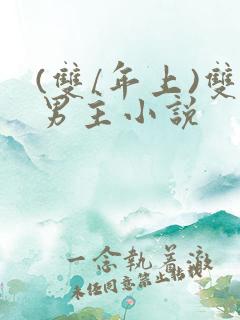 (双/年上)双男主小说
