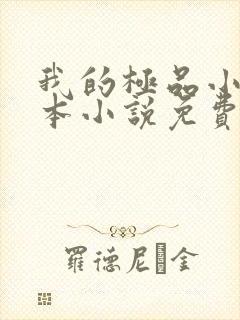 我的极品小姨全本小说免费阅读