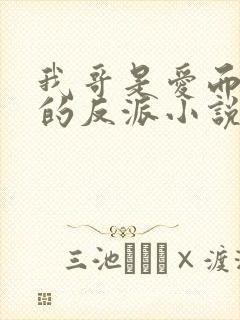 我哥是爱而不得的反派小说免费阅读