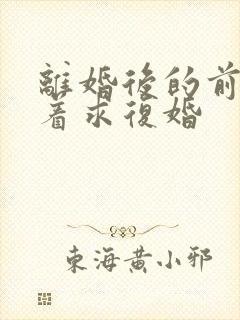离婚后的前夫哭着求复婚