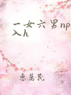 一女六男np慎入h