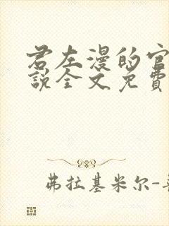 君左漫的官场小说全文免费阅读