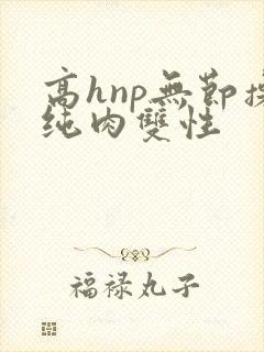 高hnp无节操纯肉双性