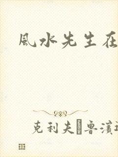 风水先生在线