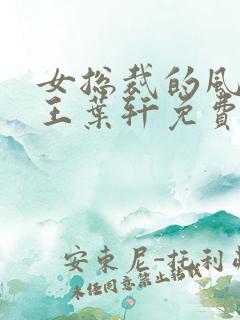 女总裁的风流兵王叶轩免费阅读