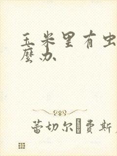玉米里有虫子怎么办