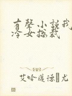 有声小说我的高冷女总裁