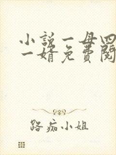 小说一母四女共一婿免费阅读