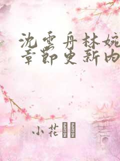 沈云舟林婉最新章节更新内容