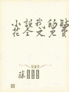 小说我的贴身校花全文免费阅读