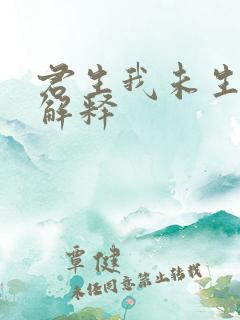 君生我未生全诗解释