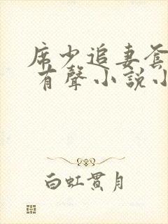 席少追妻套路深 有声小说小说