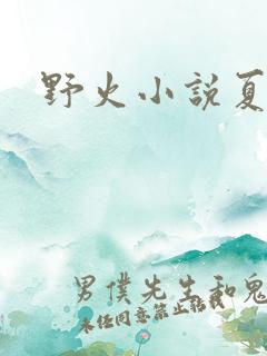 野火小说夏多