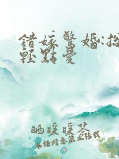 错嫁惊婚:总裁轻点爱