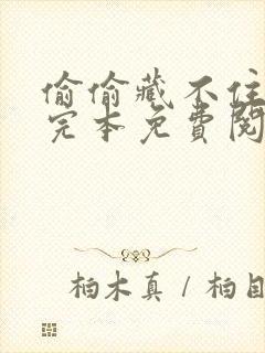 偷偷藏不住小说完本免费阅读