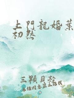 上门龙婚叶辰萧初然
