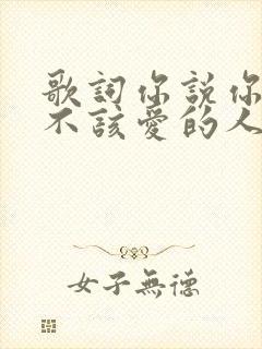 歌词你说你爱了不该爱的人是什么歌