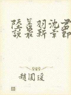 陆羡羽沈君夕小说最新章节免费阅读