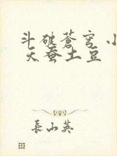 斗破苍穹 小说 天蚕土豆