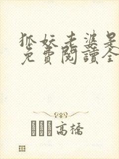 狐妖老婆是吃货免费阅读全文