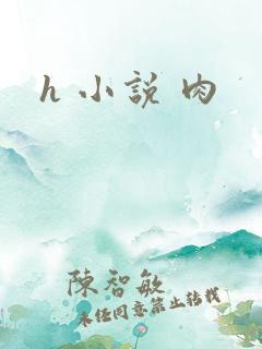 h 小说 肉