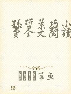 孙哲叶巧小说免费全文阅读