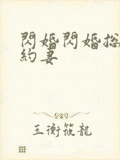 闪婚闪婚总裁契约妻