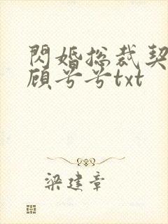 闪婚总裁契约妻顾兮兮txt