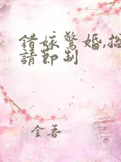 错嫁惊婚,总裁请节制