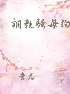 调教骚母狗欠操