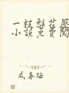 一枝梨花压海棠小说免费阅读
