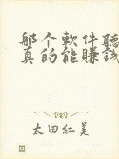 那个软件听小说真的能赚钱