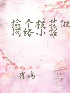 捡个校花做老婆网络小说