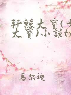 轩辕大宝(少年大宝)小说txt