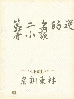 第二名的逆袭原著小说