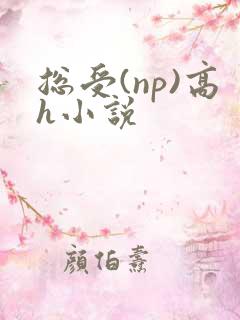 总受(np)高h小说