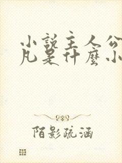 小说主人公林不凡是什么小说