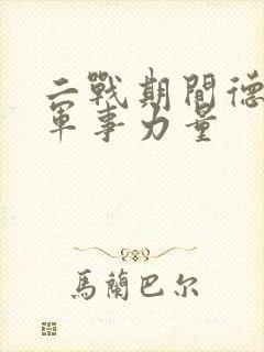 二战期间德国的军事力量