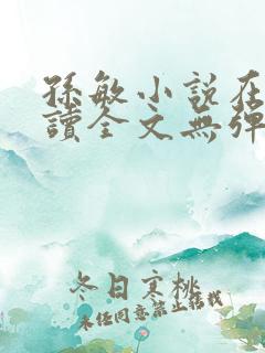 孙敏小说在线阅读全文无弹窗