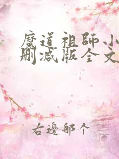 魔道祖师小说无删减版全文txt