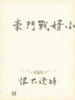 豪门战婿小说